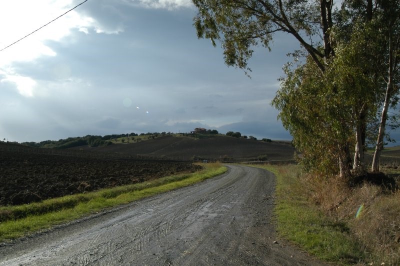 BIBBONA CAMPAGNA